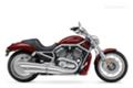 V-Rod Muscle пополняет ряды Harley-Davidson - Harley-Davidson, мото, новинки